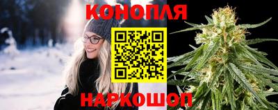 spice Котовск