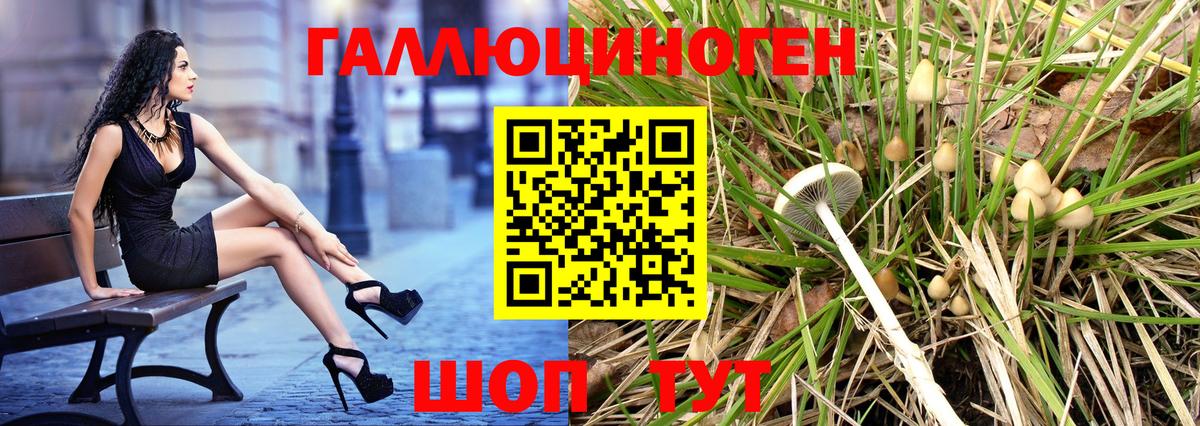 Асино  Псилоцибиновые грибы мицелий  Вход с VPN 