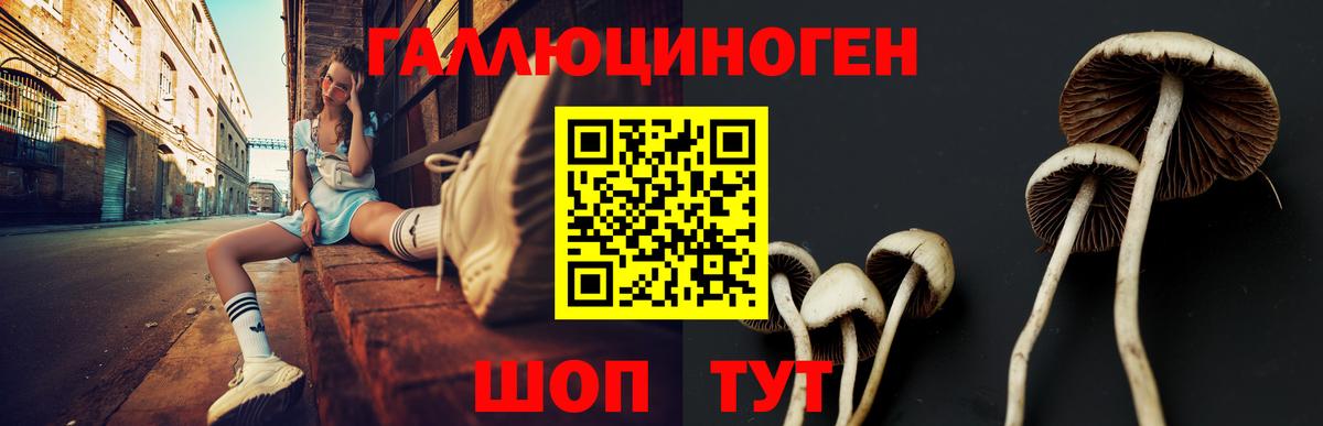 Псилоцибиновые грибы мицелий Асино